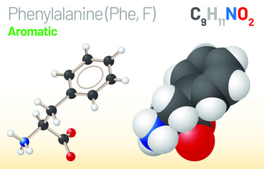 Phenylalanine (Phe, F) amino acid molecule. (Chemical formula C9H11NO2) Ball-and-stick model, space-filling model and skeletal formula. Layered vector illustration