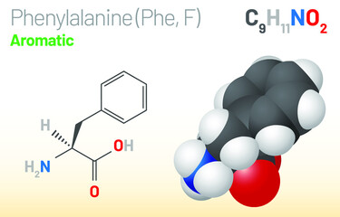 Phenylalanine (Phe, F) amino acid molecule. (Chemical formula C9H11NO2) Ball-and-stick model, space-filling model and skeletal formula. Layered vector illustration