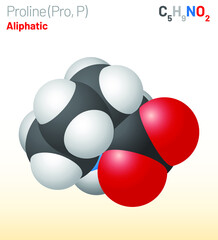 Proline (Pro, P) proteinogenic amino acid molecule. (Chemical formula C5H9NO2) Ball-and-stick model, space-filling model and skeletal formula. Layered vector illustration