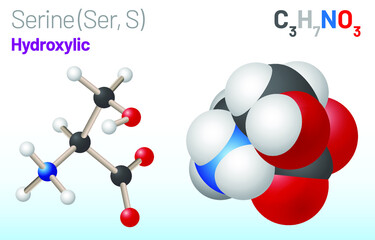 Serine (Ser, S) amino acid molecule. (Chemical formula C3H7NO3) Ball-and-stick model, space-filling model and skeletal formula. Layered vector illustration