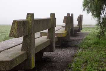 Bridge in nature