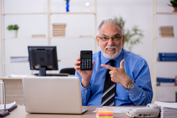 Old male bookkeeper working in the office