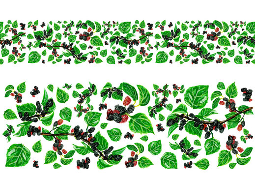 watercolor border berry on a tree branch, black and red mulberry fruits, green leaves, on a white background