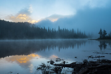 Foggy morning in the forest lake. Reflection Lake in the Mt. Rainier National Park, Washington, USA