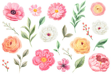 Spring pink, white, yellow flowers and leaves. Roses, peonies. Set of isolated botanical elements for design.