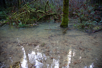 Nature Scenes