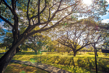 Bajakitti Forest Park, New Forest Park in  Bangkok Bangkok Thailand