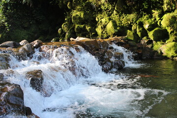 Some little falls in Lembah Tepus, West Java, Indonesia