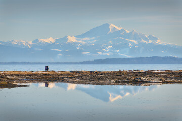 Mt Baker Behind Boundary Bay. The view of Mt Baker from Centennial Beach in Delta, British...