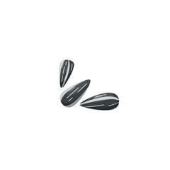 Three sunflower seeds, isolated vector illustration. Whole sunflower seeds in black shell, cartoon style.