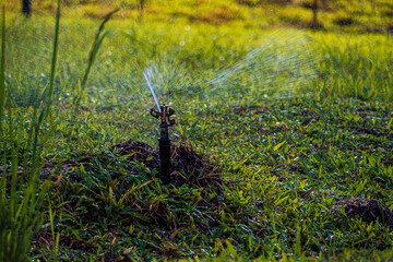 green grass garden water sprinkler