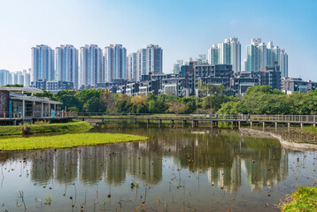 Fototapeta premium High rise residential building and Hong Kong Wetland Park