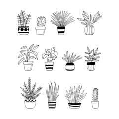 houseplants in pots set icon hand drawn. vector, minimalism, scandinavian, monochrome, nordic. sticker, plant, flowers.