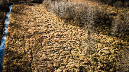 background of the grass