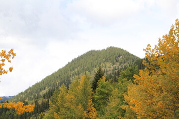 autumn landscape in the mountains, Kananaskis Country, Alberta