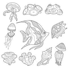 Contour linear illustration. Set  with fish and ocean corals for coloring book. Cute objects, anti stress picture. Line art design for adult or kids in zentangle style and coloring page.