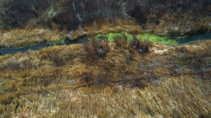 Algae in stream in autumn