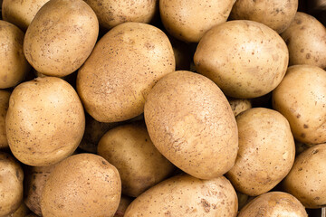 background of fresh new harvest potatoes