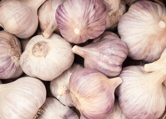 background of fresh garlic close-up