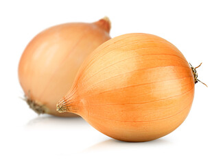 two yellow onions on white isolated background
