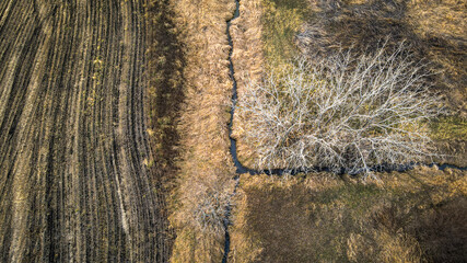 Agricultural field stream intersection with empty tree