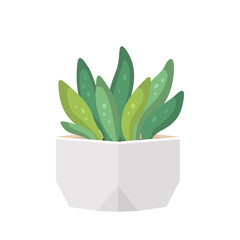Cactus and succulent in pot domestic colorful cartoon vector illustration