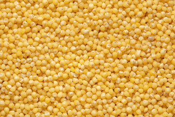 Close-up of millet groats as background.