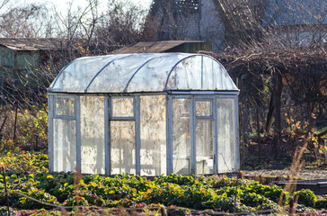 Greenhouse at the summer cottage