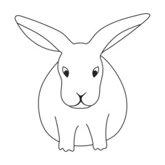 Rabbit vector outline icon. Vector illustration bunny on white background. Isolated outline illustration icon of rabbit.