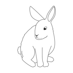 Rabbit vector outline icon. Vector illustration bunny on white background. Isolated outline illustration icon of rabbit.