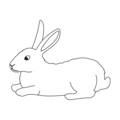 Rabbit vector outline icon. Vector illustration bunny on white background. Isolated outline illustration icon of rabbit.