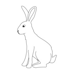 Rabbit vector outline icon. Vector illustration bunny on white background. Isolated outline illustration icon of rabbit.