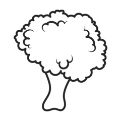 Cauliflower vector icon.Outline vector icon isolated on white background cauliflower.