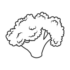 Cauliflower vector icon.Outline vector icon isolated on white background cauliflower.