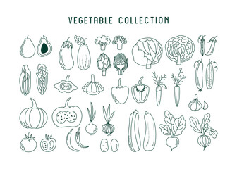 Set of various vegetables in line art style. Vector illustration with avocado, cabbage, pepper, tomato, carrot, cucumber, and other plant food