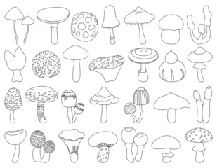 Mushroom toadstool isolated outline set icon. Vector illustration fungus on white background.Outline vector set icon mushroom toadstool .