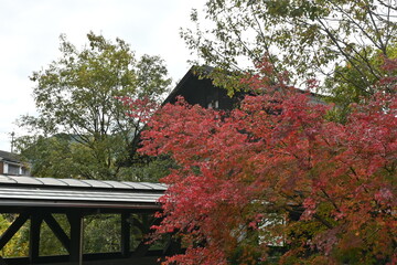 高知県馬路村