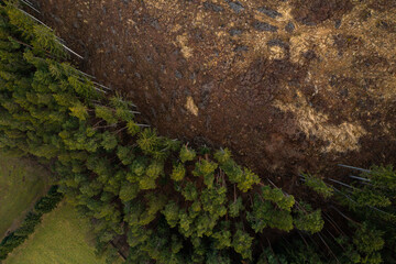 Massive deforestation. Aerial view of a forest with a lot of trees that have been cut. A danger for the environment.