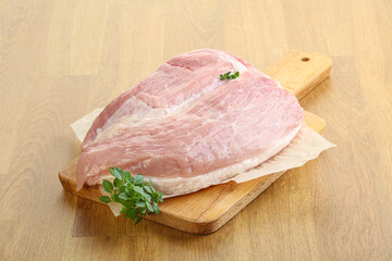 Piece of the raw pork meat