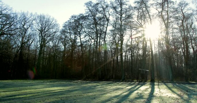 Time-lapse of a frozen grass field as shadows from a forest move over it with the sun flaring in the back ground.