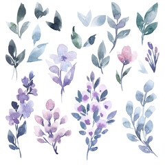 Fototapeta na wymiar Beautiful set with gentle watercolor hand drawn purple flowers. Stock illustration.