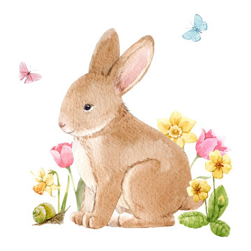 Beautiful image with cute watercolor hand drawn rabbit and flowers. Stock illustration.
