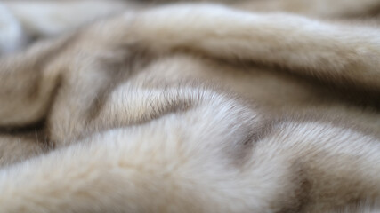 Obraz premium defocus mink fur texture close-up background. closeup. soft focus, selective focus