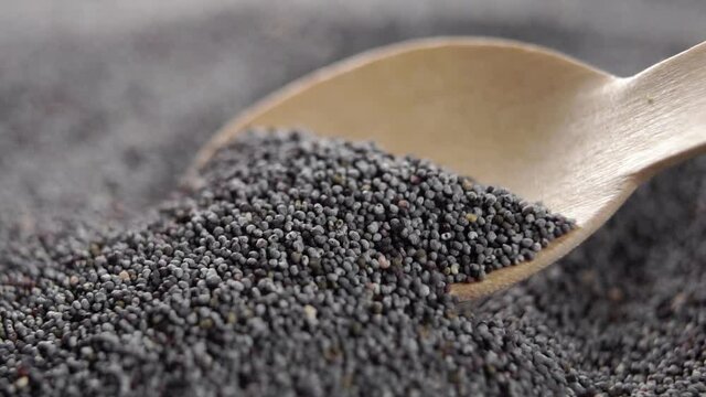 Dry poppy seeds. Spooning organic black grains into a wooden spoon in slow motion. Macro shot. Vegetable super food fiber