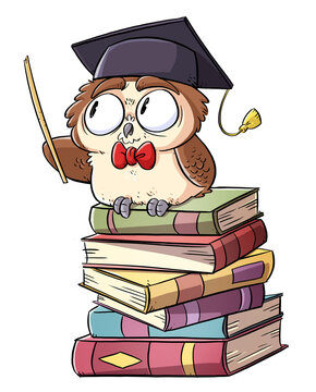 Illustration of wise owl on top of a pile of books