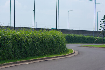 Fototapeta na wymiar Turning city road with nature green creeper plants in the side