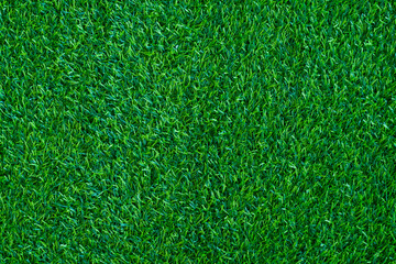Fototapeta premium Green grass background, football field