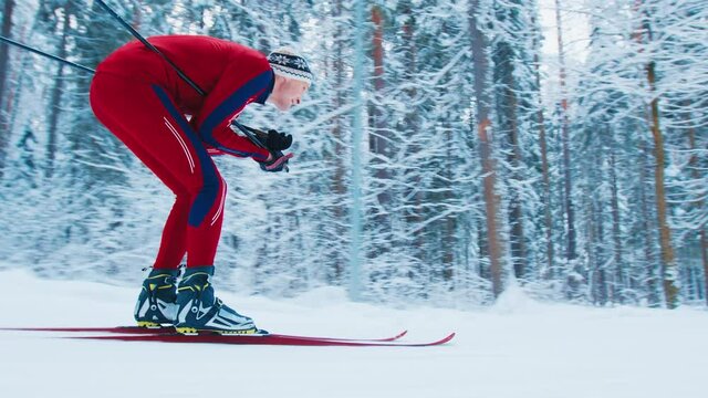 Cross country ski. Young fit man in red ski suit skiing in the winter forest