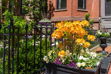 Fototapeta na wymiar Flower pots near the front garden of an old brick house. Orange rhododendrons, colorful spring flowers decorated with willow branches for Easter