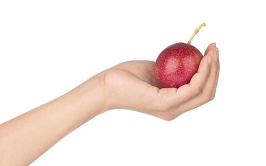 Hand holding Passion fruit isolated on the white background.